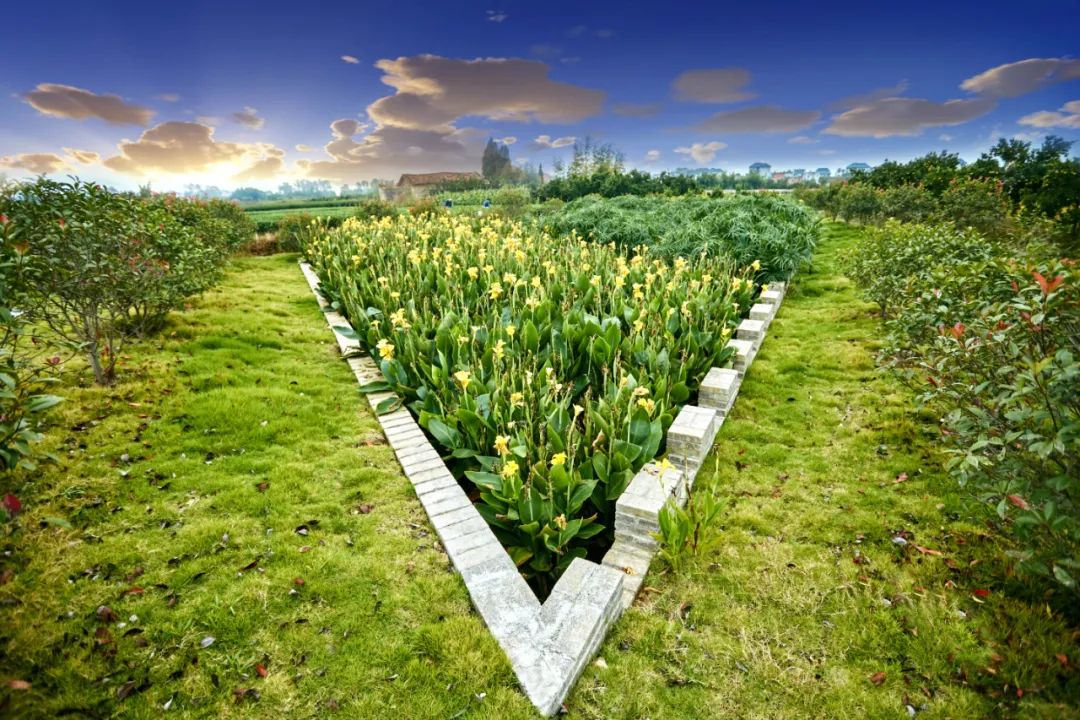 農(nóng)村生活污水處理設計選型和問題不足(圖3)